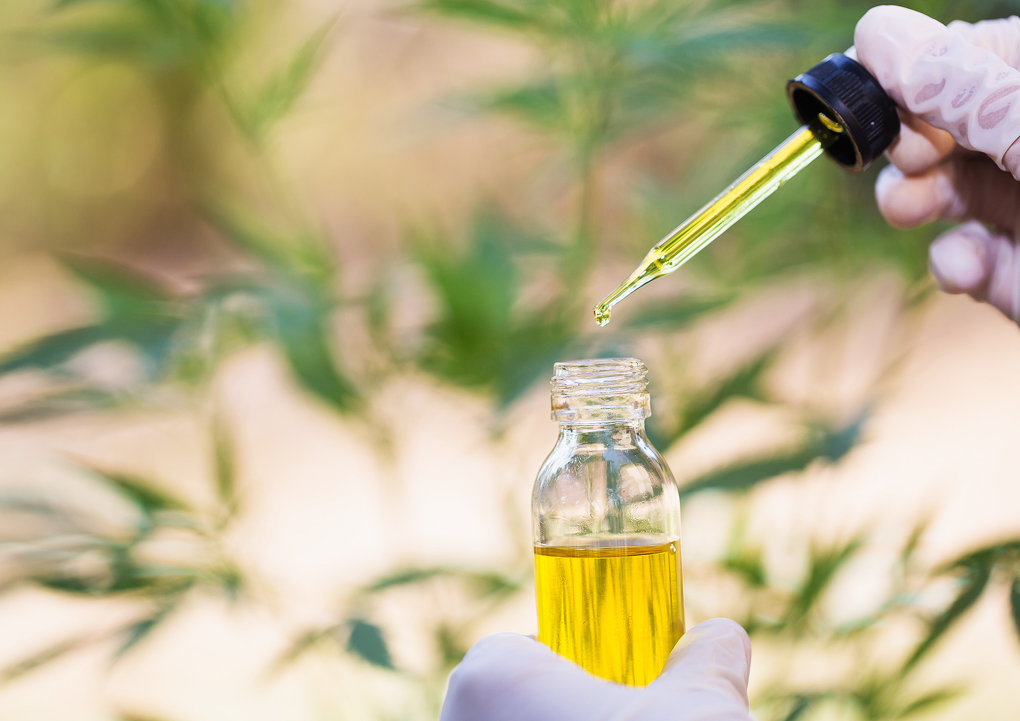 CBD